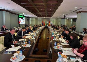 آغاز به کار کمیته مشترک اجرای موافقت‌نامه تجارت آزاد ایران و اتحادیه اوراسیا + فیلم